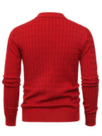Fernand - Pull Col Polo Homme